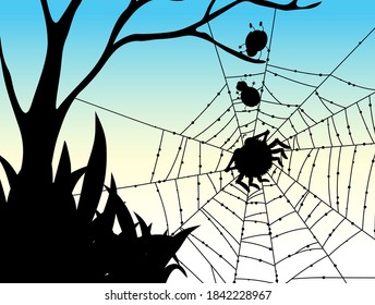 Shadow of spider web nature background illustration