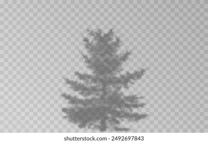 Shadow of spruce on isolated transparent background. Spruce shadow vector png.