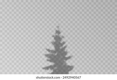 Shadow of spruce on isolated transparent background. Spruce shadow vector png.
