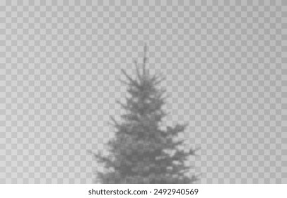 Shadow of spruce on isolated transparent background. Spruce shadow vector png.