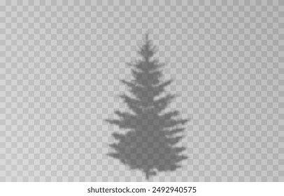 Shadow of spruce on isolated transparent background. Spruce shadow vector png.