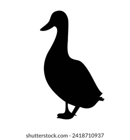 shadow of a swamp duck on a white background