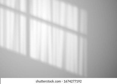 The shadow the transparent curtains white wall  Mockup for design