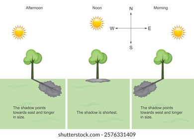 The shadow of tree. As the direction of sun changes the shape and direction of the shadow also change. As sunlight blocked by tree, shadow is visible.