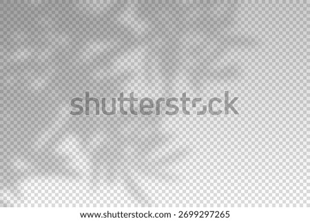 Shadow tree leaf. Overlay shade plant leaves. Sun rays reflection from flowers. Reflected shades plants isolated on background for summer design. Soft reflect light from branches. Vector illustration