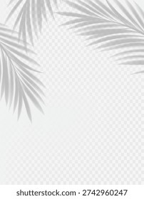Shadow tree leaf summer background overlay, foliage and leaves, botany nature texture, isolated botanical pattern, natural vector illustration and organic design.