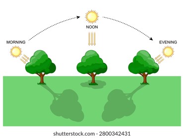 Shadow of tree throughout the day. Sun position, light angle and shadow length change morning noon and  evening. Vector Illustration. Educational diagram