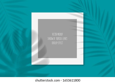 shadow of a tropical leaf on paper. printable template. flyer, flyer, business card, mockup. trend vector graphics