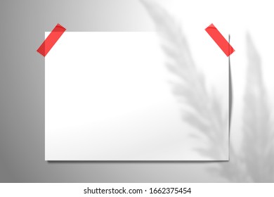 The shadow of the two large feathers or leaves falls on white sheet of paper glued with adhesive tape to the wall. Mockup in horizontal orientation