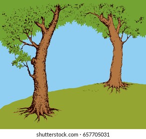 Shadow of two old oaks on vibrant glade field isolated on cyan backdrop. Bright color hand drawn picture sketchy in retro art doodle graphic style with space for text on light blue sky