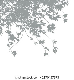 Shadow from vegetation on the wall vector silhouette. Tree branch or bush vector shape