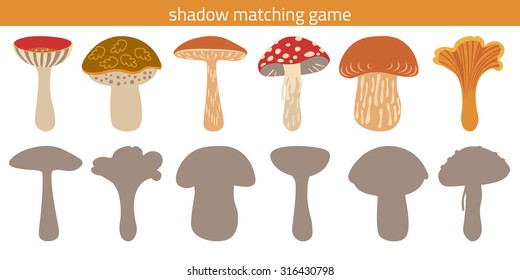 Shadow watching game: russula, greasers, brown-cap boletus, amanita, porcini, chanterelle. Game with silhouettes for children. Mushrooms.