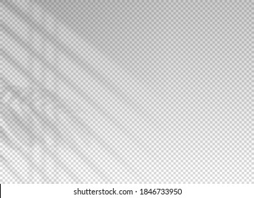 Shadow of window blinds. Shade on transparent background. Overlay effect plant leaf. Reflection shadow blinds. Light from window on wall office. Realistic soft shade blind. Horizontal mockup. Vector  - Shutterstock ID 1846733950