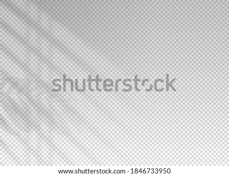 Similar – Image, Stock Photo Indoor plant with shade behind the curtain