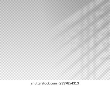 Shadow from window. Light on wall. Shade from blind for overlay effect  overlay. Reflect leaves tree. shades plant isolated on transparent background. Flatlay soft shadows floral. Vector illustration