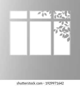 The shadow from the window on the wall. Plant silhouette.