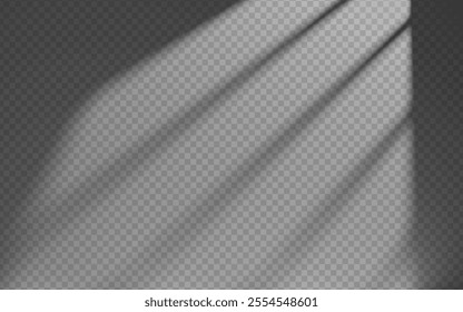 Shadow window overlay on wall isolated transparent background.