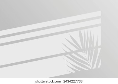 shadow of window with palm plant on white color wall background. Used for backgrounds, cardboards, tropic concepts, autumn for product presentation podium and mockup. Editable. EPS 10