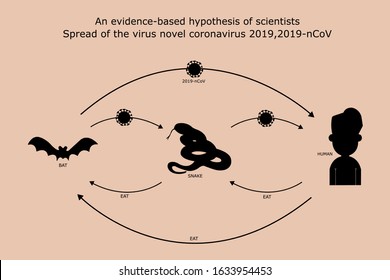 Shadow,an evidence-based hypothesis of scientists spread of the virus novel coronavirus 2019,2019-nCoV,Covid-19,Bats spread to snakes,Snakes spread to people,People who eat snakes or bats