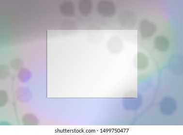 Shadows background with overlay leaves branch light colorful gradient surface Mock up scene creator Styled horizontal paper banner social media Branding design Space for text Feminine wedding Mock-up 