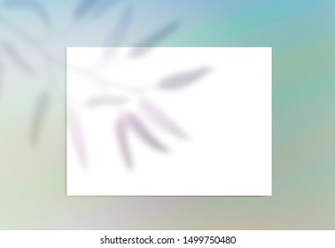 Shadows background with overlay leaves branch light colorful gradient surface Mock up scene creator Styled horizontal paper banner social media Branding design Space for text Feminine wedding Mock-up 