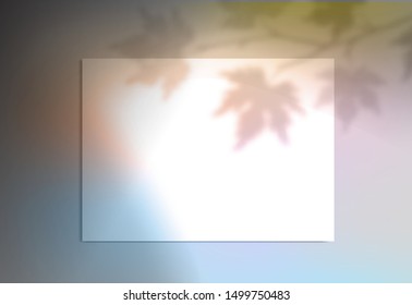 Shadows background with overlay leaves branch light colorful gradient surface Mock up scene creator Styled horizontal paper banner social media Branding design Space for text Feminine wedding Mock-up 