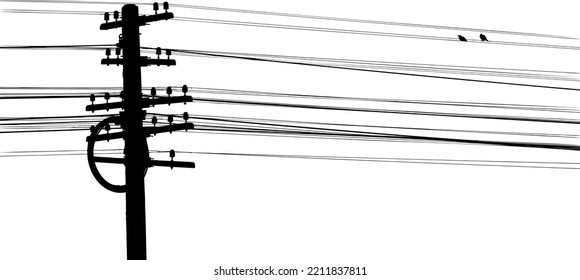 Shadows of electric wires with birds perched on wires.