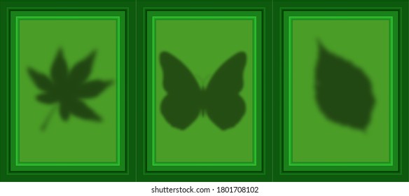 Shadows of leaves and butterflies in frames on the wall. Training material. Isolated objects. Vector illustration.