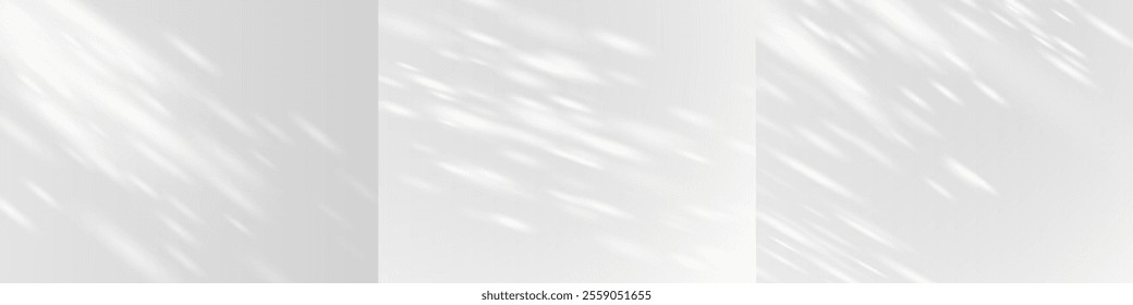 Shadows on the wall. The effect of sunlight or reflections on a surface passing through foliage. Daylight from the window in the room. Template. Mockup. Realistic. Natural lighting Vector illustration