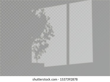 Shadows, overlay effects mock up, window frame natural interior light. Vector illustration