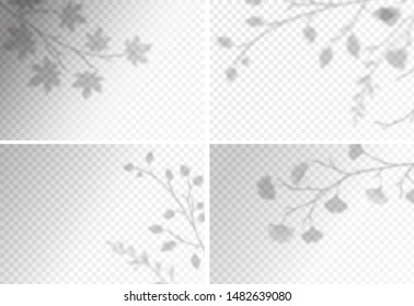 Shadows overlay effects transparent set for presentation. Horizontal format mockups. Scenes of natural lighting. Realistic vector illustration. Leaves and window frames monochrome overlays shadow