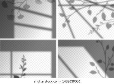 Shadows overlay effects transparent set for presentation. Horizontal format mockups. Scenes of natural lighting. Realistic vector illustration. Leaves and window frames monochrome overlays shadow