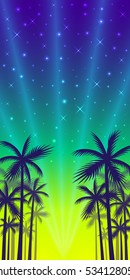 The shadows of palm trees on a sunset and evening shining stars background.