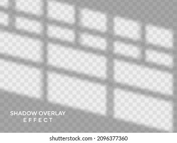 Shadows soft overlay effects transparent on white wall set for presentation.