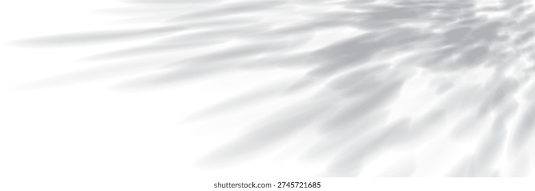 Shadows of tree leaves from the corner bg. Overlay light texture. Gobo effect. Sunlight on the wall or floor. Blurred foliage shade texture. Vector illustration