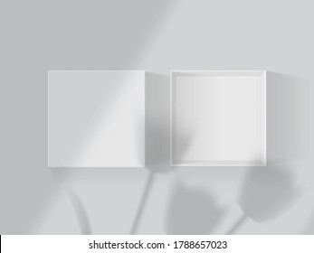 shadows from tulips and windows on a white open box mock up vector