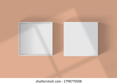 shadows from  windows on a white box mock up vector