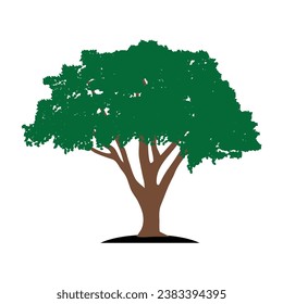 shady tree icon vector illustration design