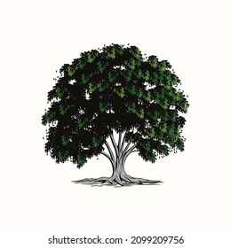 The shady tree logo, has strong roots, very suitable for company logos 