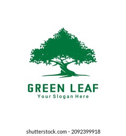 shady tree logo vector on white background
