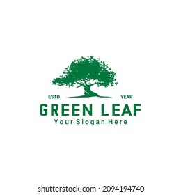 shady tree logo vector on white background