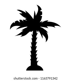 Shady tropical tree grown in hot weather