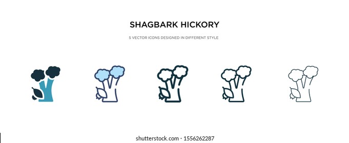 shagbark hickory tree icon in different style vector illustration. two colored and black shagbark hickory tree vector icons designed in filled, outline, line and stroke style can be used for web,