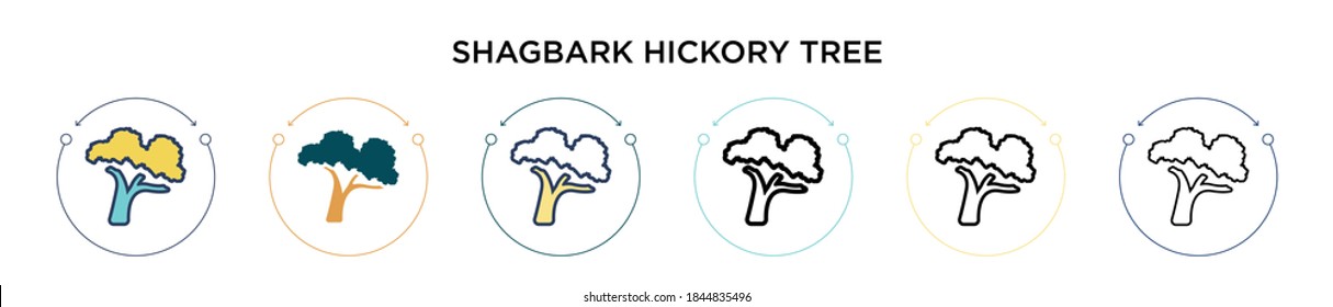 Icono de árbol de hickory Shagbark en estilo relleno, delgado, contorno y trazo. Ilustración vectorial de dos iconos vectoriales de árbol de hickory de color y negro se pueden utilizar para móviles, ui, web