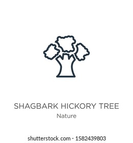 Shagbark hickory tree icon. Thin linear shagbark hickory tree outline icon isolated on white background from nature collection. Line vector sign, symbol for web and mobile