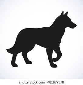 Shaggy Alsatian police GSD Deutscher SchÃ¤ferhund isolated on white background. Black ink hand drawn image in art retro style pen on paper. Closeup view with space for text