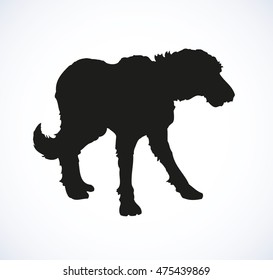 Shaggy big dog isolated on white background. Closeup side view with space for text