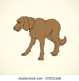 Shaggy big dog isolated on white background. Freehand outline ink hand drawn picture sign sketchy in art retro doodle style pen on paper. Closeup side view with space for text