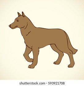 Shaggy brown Alsatian police GSD Deutscher Schaferhund isolated on white background. Black ink hand drawn image in art retro style pen on paper. Closeup view with space for text