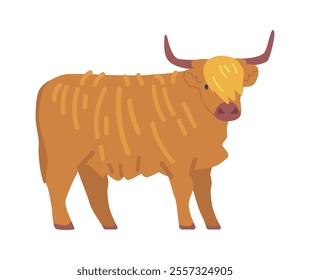 Shaggy bull breed vector illustration